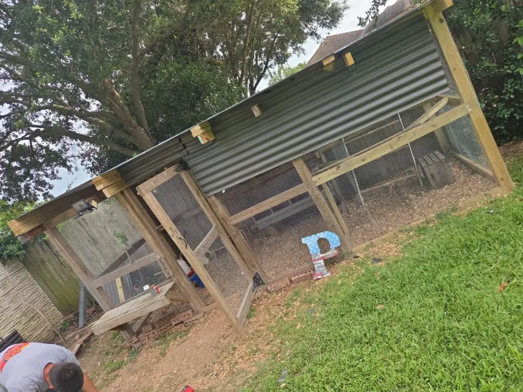 Chicken Coop Repair in Katy, Texas — katy