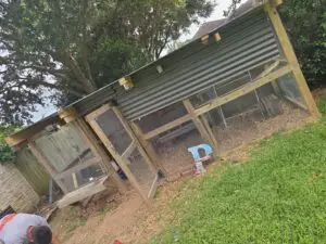 Chicken Coop Repair in Katy, Texas — katy