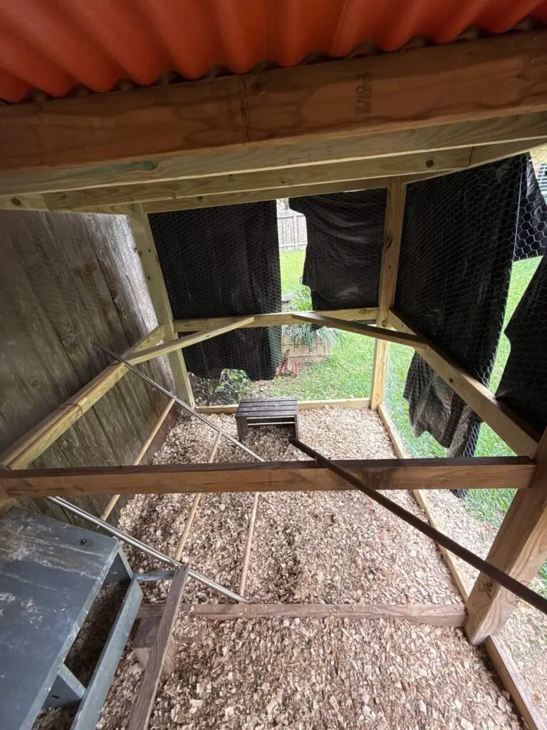 Chicken Coop Repair in Katy, Texas — falcon point